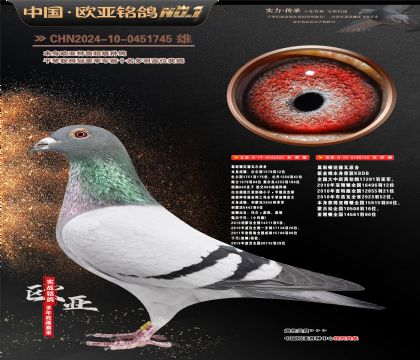 ��˹�ٷ�����ԭ��355X760