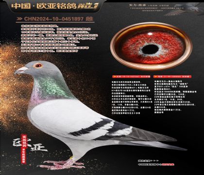 ����041Xɣ��ʿ006