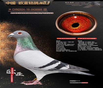 ��ƿ�ԭ�ᡰ��������810X���氮��776