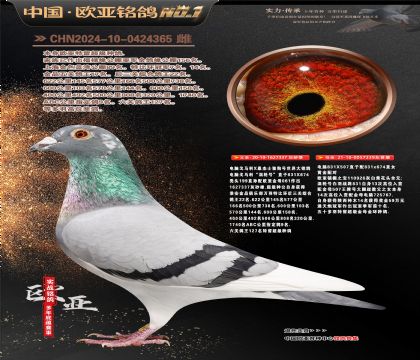 ����614X061ɣ��ʿֱ��337X����926ֱŮ239