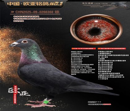 ��˹ɣ��ʿ��ɫ�쳵688X008