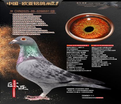 ղɭ251ֱ��326X766ֱŮ848