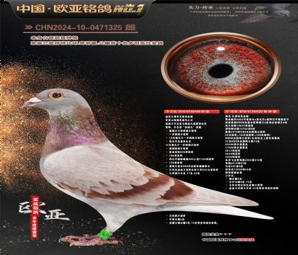 ŷ��10-8-0471325