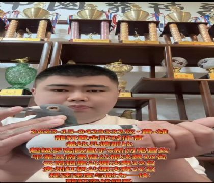 ���ٱ�Ѫ���Ǳȳ�������ŷֱ��X������ֱŮ����