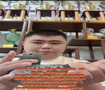 �����������������˹����ֱ��X����ֱŮ��������