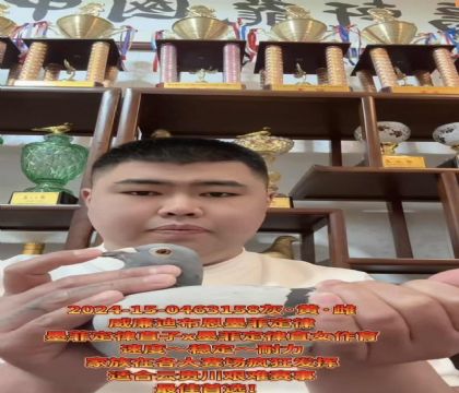 ɽ�����ǣ������ϲ�����ī�ƶ��ɡ�ֱ��X��ī�ƶ��ɡ�ֱŮ