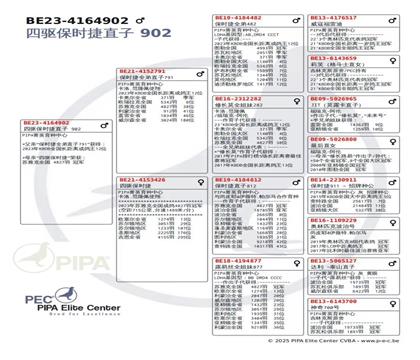 ����Ѫͳ��