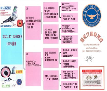 ����Ѫͳ��