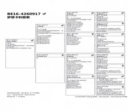 ����Ѫͳ��