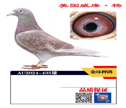 ���ָ�435 �������