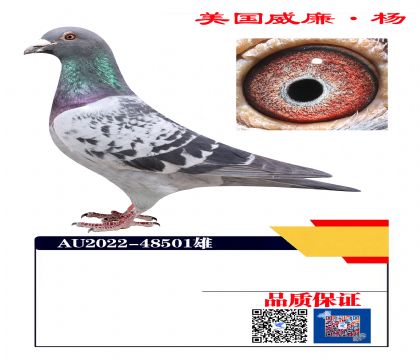 ����7��X����ھ�  ֱ��