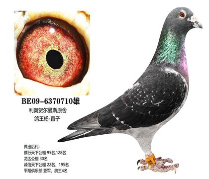 ��������ԭ�������ֱ��