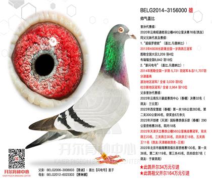 ����³��ֱ��