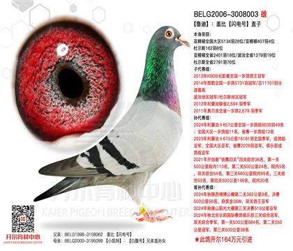 �游��³��