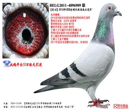 ��/���游����ʿ