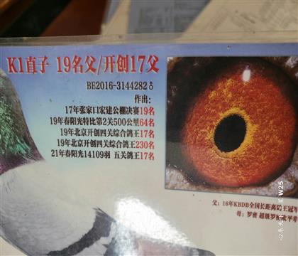 ������¼