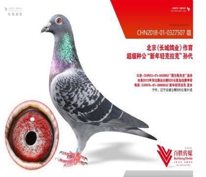 ���Ǹ�ҵ������������ˡ�-0327507