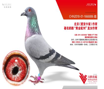 ���ǿ��ա��ƽ���ԡ�-1666882