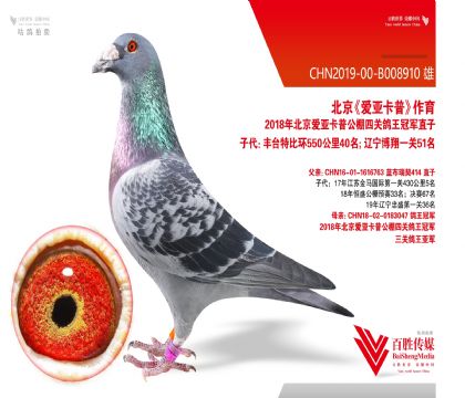 ���ǿ��ա������ھ���-B008910