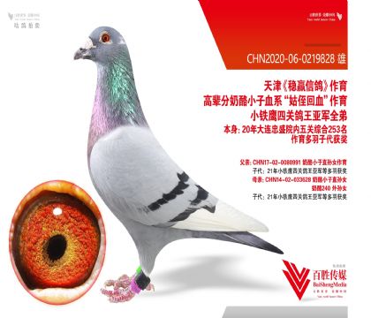 �����Ӯ������С�ӡ�-0219828