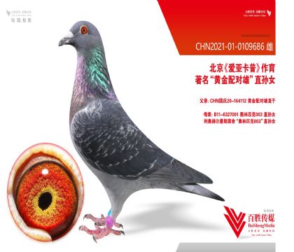 ���ǿ��ա��ƽ���ԡ�-0109686