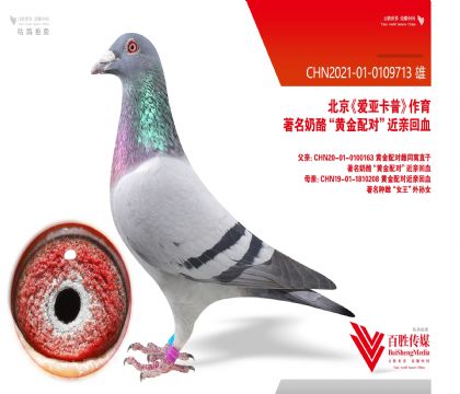 ���ǿ��ա��ƽ���ԡ�-0109713