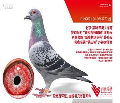 ���и�Է�����������۴ơ�ֱ��Ů-0761777