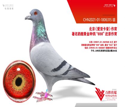 ���ǿ��ա�����698��-1806315