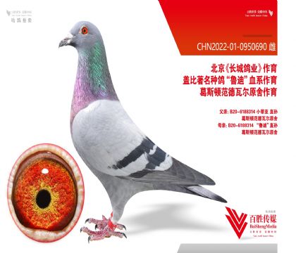 ���Ǹ�ҵ������ԭ�ᡱ-0950690