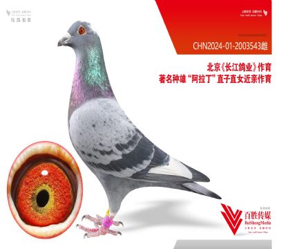 ������ҵ������������Ѫ-2003543