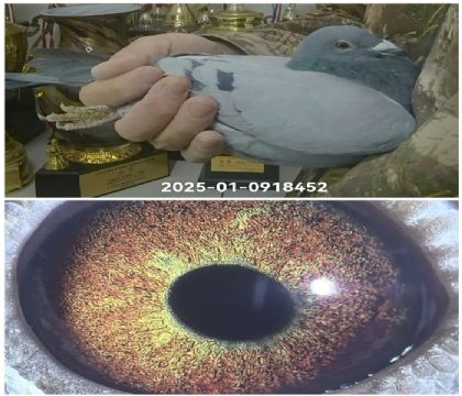 �����Ҳ�Ĭ��25-0191452������