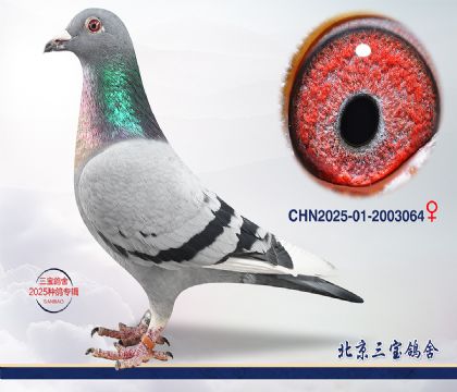 3.���ֿ�˹x����.2003064