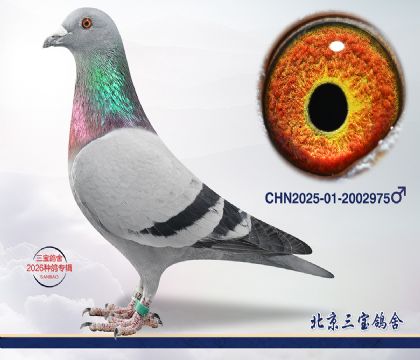 4.����x����.2002975