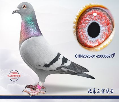 5.����С�ӽ�Ѫ.2003552