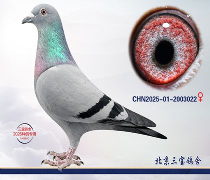 1.����x����.2003022