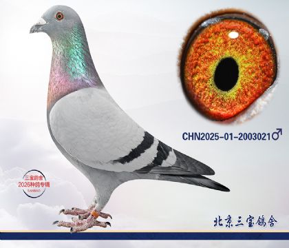 3.����x����.2003021