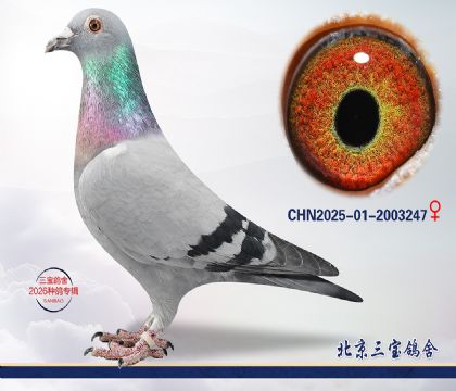 5.����x���Ƕ���.2003247