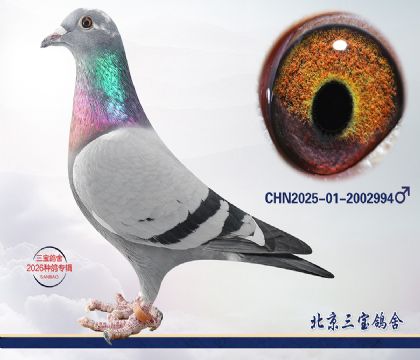 8.����x����.2002994