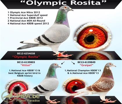 ����ƥ�������������ض����������