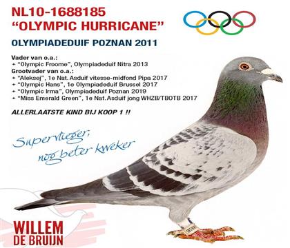 ����ƥ��쫷��