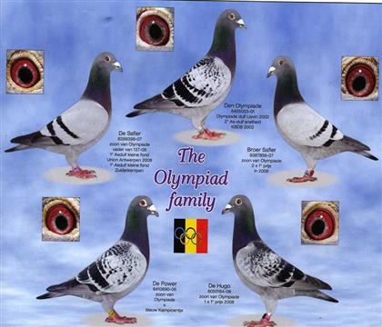 ����ƥ�˼���