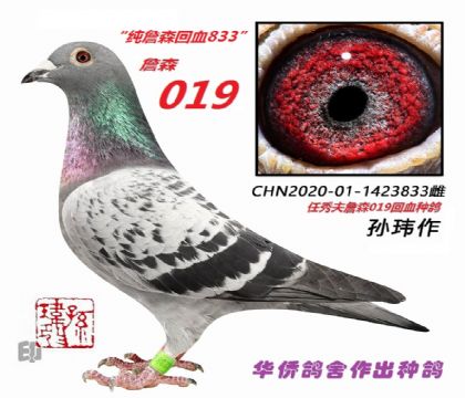 10��--CHN20-01-1423833-��