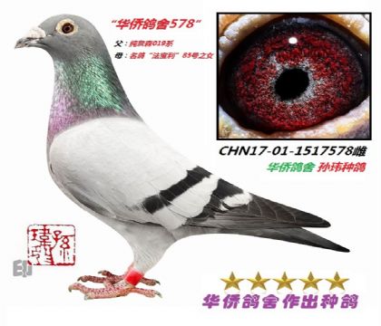 2��--CHN17-01-1517578-��