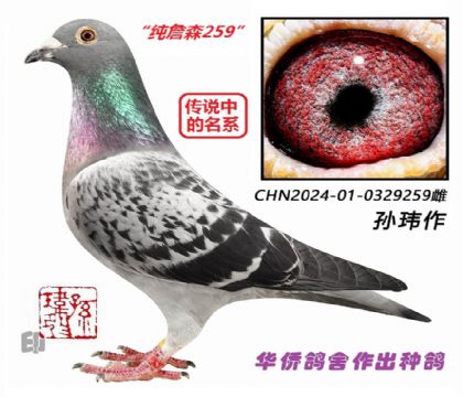 4��--CHN24-01-0329259-��