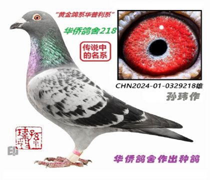 3��--CHN24-01-0329218-��