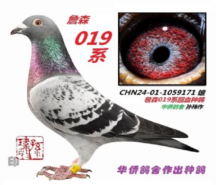 5��--CHN24-01-1059171-��