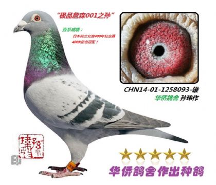 9��--CHN14-01-1258093-��