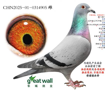 1.�������.0314905