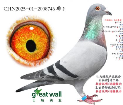 2.��ʱ�ݸ������.2008746