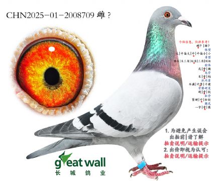 4.����ҫ�����.2008709